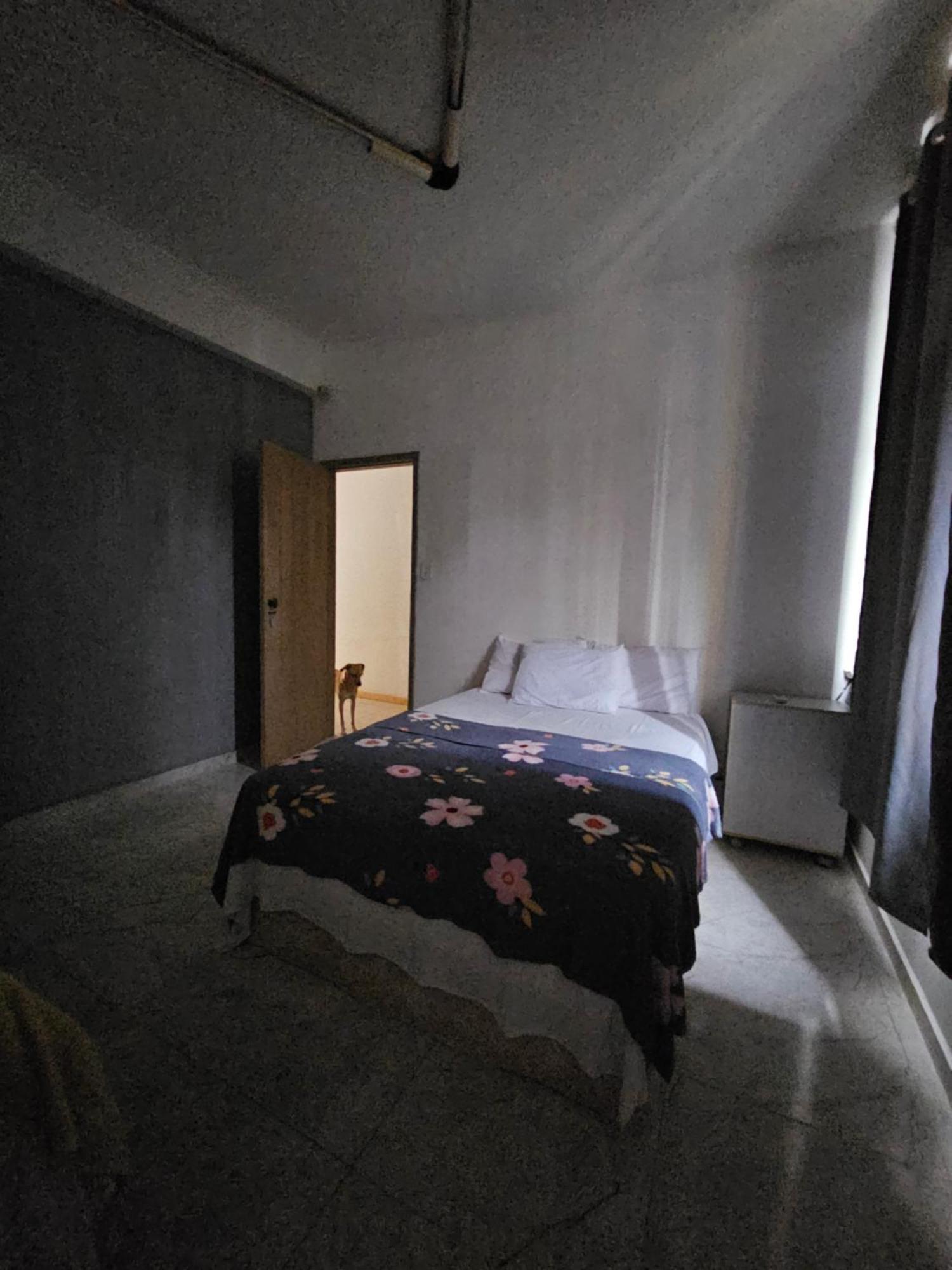 Nomads Hostel Multicultural & Coworking 살바도르 외부 사진